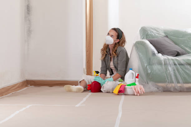 Reliable Mold Remediation contractor in Annandale, MN by Cheap Mold Removal